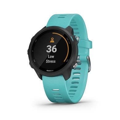 forerunner 125